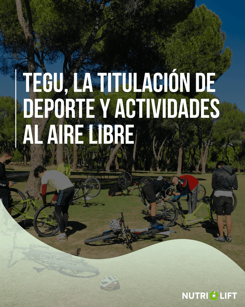 TEGU, la titulación con más salida laboral