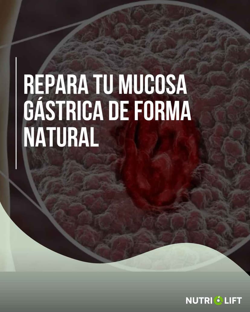Repara tu mucosa gástrica de forma natural